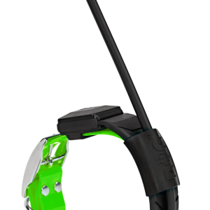 Obroża dla kolejnego psa DOGTRACE DOG GPS X30T-Zielony