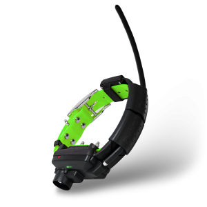 Obroża dla kolejnego psa DOGTRACE DOG GPS X30TB-Zielony