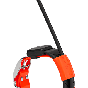 Obroża dla kolejnego psa DOGTRACE DOG GPS X30T-Pomarańczowy