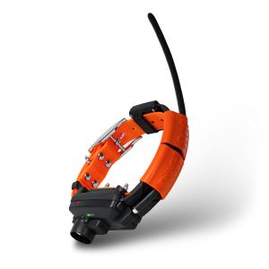 Obroża dla kolejnego psa DOGTRACE DOG GPS X30TB-Pomarańczowy