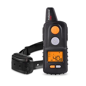 Elektroniczna obroża szkoleniowa DOGTRACE d-control professional 2000 mini-Czarny